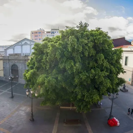Piso En El Corazon De La Ciudad * Santa-Cruz de Ténérife